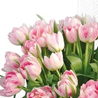 Servietter - rosa tulipaner